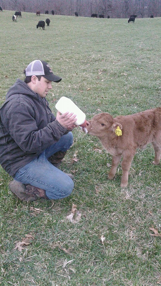 A twin! Unfortunately his mom would only take his sister so we are bottle feeding him. (I think he steals some from some of the other cows)